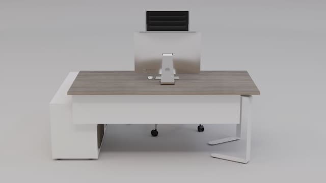 Bureau Pingouin_1